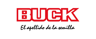 Buck