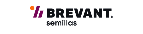 Brevant