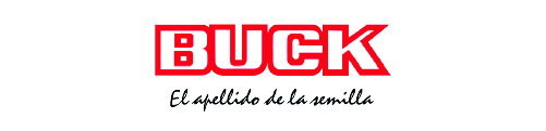 Buck